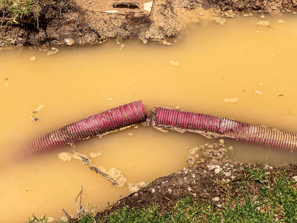 Carpet water damage restoration in Tunica Resorts, MS