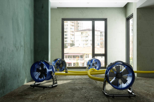 Best Water damage restoration process  in Tunica Resorts, MS